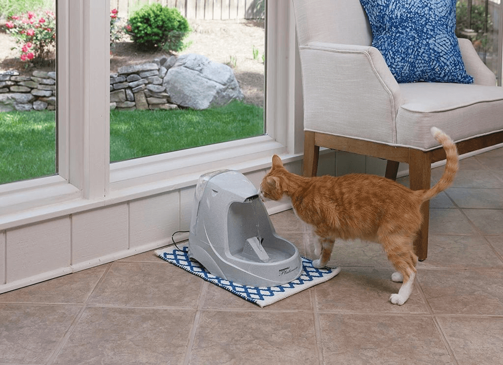 petsafe  bebedero de agua para gatos drinkwell