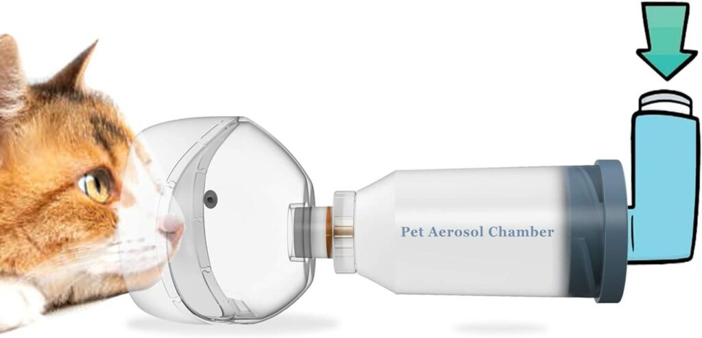 Câmara de inalador de aerossol para gatos